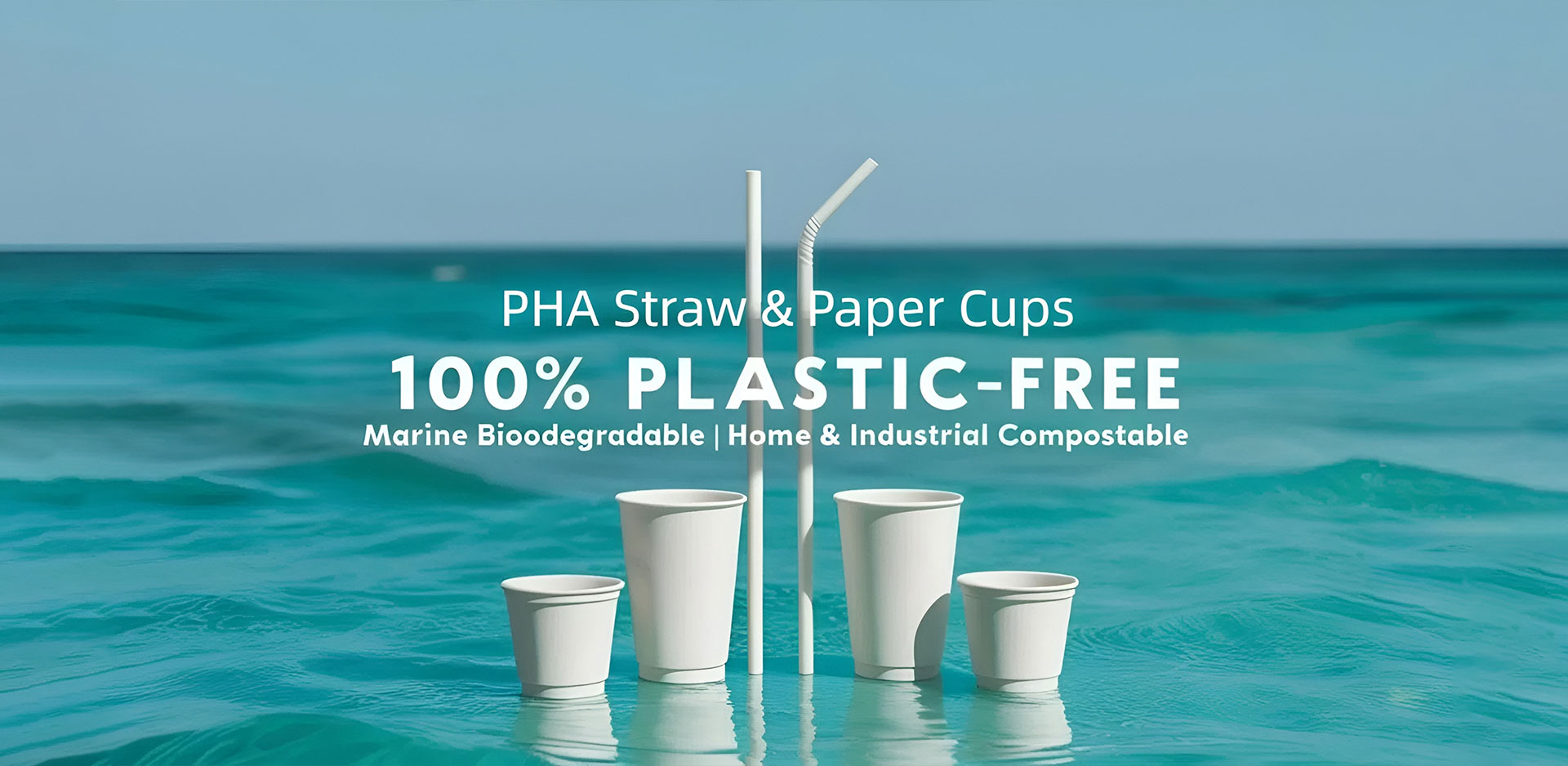 Добавувач на чаши за хартија во Кина