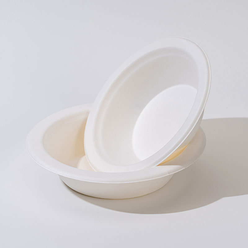 Sugarcane Pulp Bowl