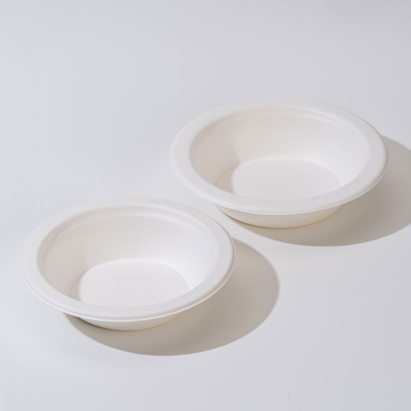 Sugarcane Pulp Bowl