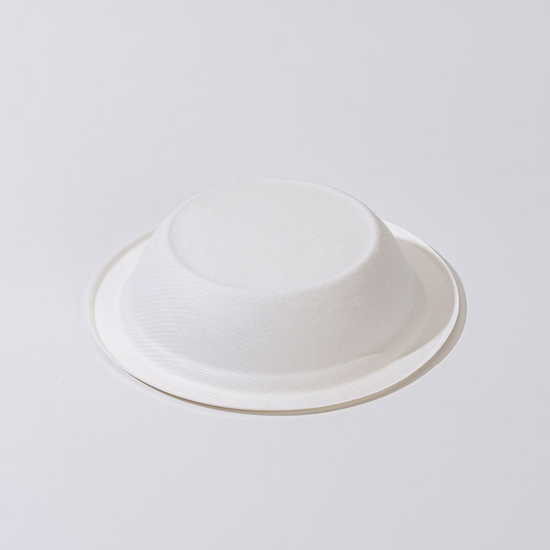 Sugarcane Pulp Bowl